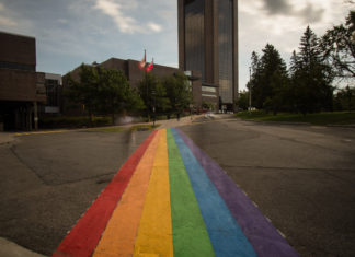 BREAKING: Carleton not participating in Capital Pride for third straight year Colourful rainbow pride crosswalk in the middle of a roadway.