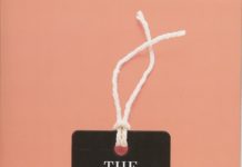 Book Review: The Financial Diet satisfies financial cravings
