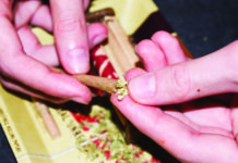 Bruce Linton: selling weed, getting fired, moving on