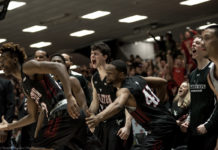Photo Of The Week.