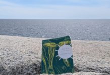 Book blog: Why Moby Dick deserves a second look