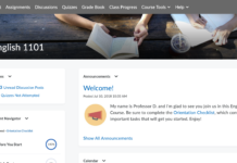 Carleton to replace cuLearn with Brightspace
