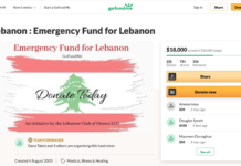 Relief efforts continue to aid Lebanon after Beirut explosion