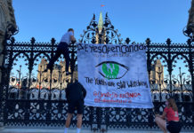 Youth climate activists demand to be heard amid COVID-19