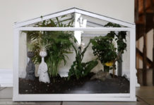 Reflections from a plant mom