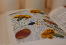 Pressed: A Poem