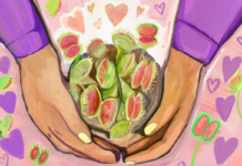 Carnivorous plants: Friends, fauna or both?