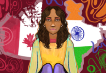 Navigating an online Carleton as an international student