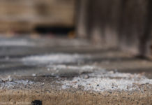 Why you should be salty about road salting