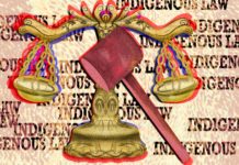 Dalhousie’s new Aboriginal and Indigenous law certificate equips Mi’kmaq students to bring change