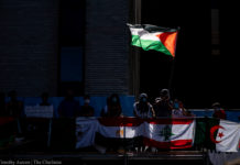 Thousands peacefully protest to end Israeli occupation of Palestine