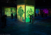 Beyond Van Gogh: The Immersive Experience opens in Ottawa to enthusiastic response