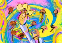University of Ottawa unveils virtual microprogram on psychedelic studies