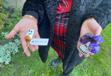 Local artist showcases toadstools in street art treasure hunt