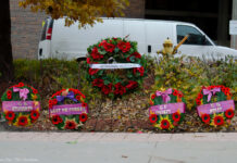 Carleton commemorates poppy, holds Remembrance Day online again