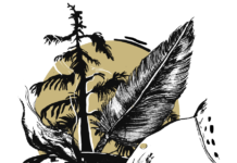 Carleton Kinàmàgawin progress needs transparency, committee members say