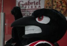Rodney the Raven resigns following steamy conflict-of-interest controversy