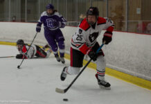 Women’s hockey swept in preliminary playoff round