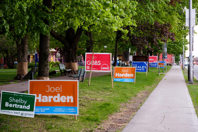 Electoral signs pictured at Dundonald Park along McLaren Street.