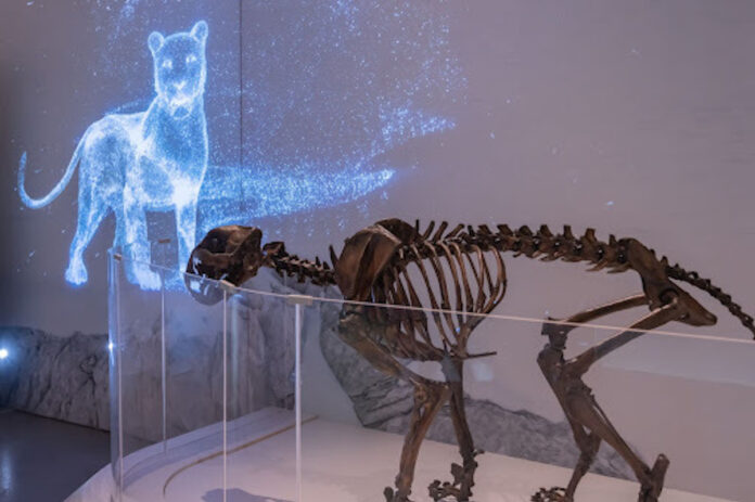 A virtual animal roams the Museum of Nature.