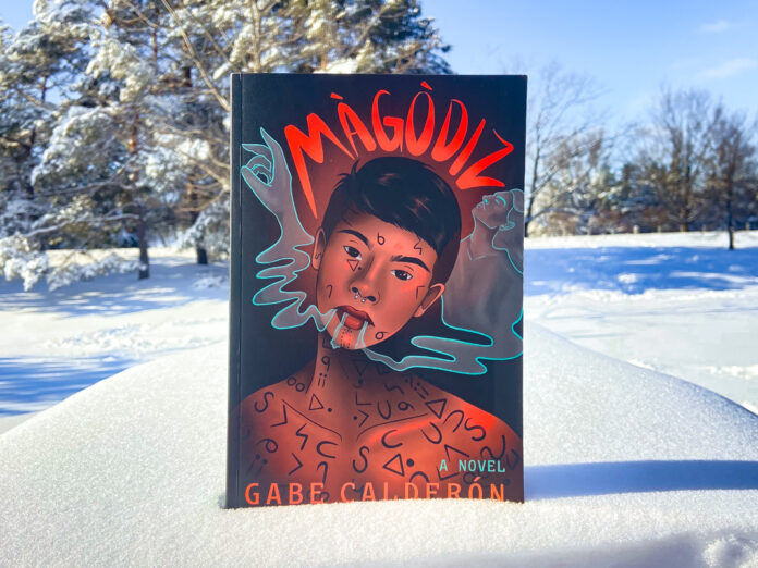 The book Magodiz sits in the foreground with snowy trees in the background.