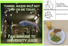 Meet Carleton’s “niche internet microcelebrities”