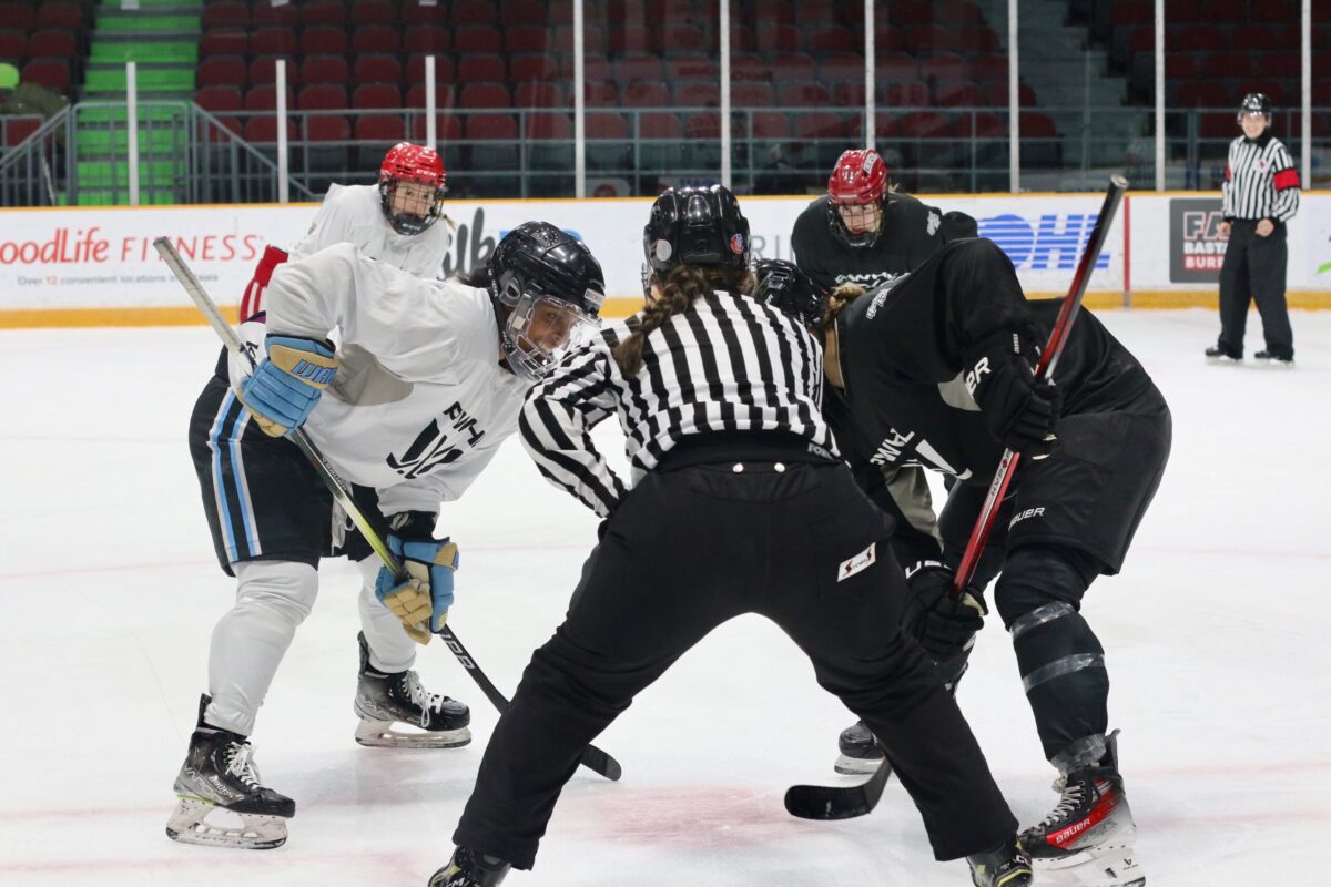 PWHL releases regular season schedule, players to participate in NHL  All-Star Weekend - The Charlatan, Carleton's independent newspaper