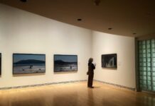 Dreaming Birds, Becoming Crane: A voyage through identity and colonialism