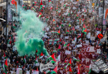 In Photos: Palestine supporters rally at Parliament