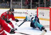 PWHL Ottawa clings to playoff hopes with win over New York
