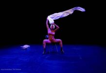 In Photos: Tail Feather Productions steps back in time with annual Retro Reveal