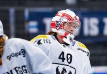 From farm to rink: Former Raven Allie Lehmann looks to make hay in the PWHL