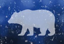 Wilfred Buck shares Opaskwayak Cree stories about constellations Amid a speckle of stars and a dark night, a white constellation of a bear is drawn.
