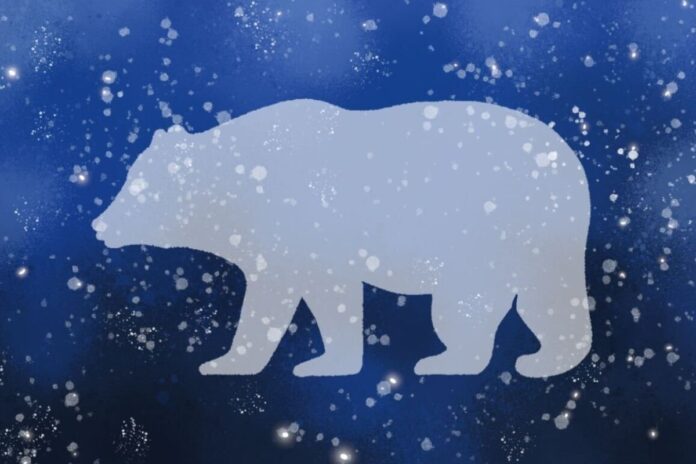 Amid a speckle of stars and a dark night, a white constellation of a bear is drawn.