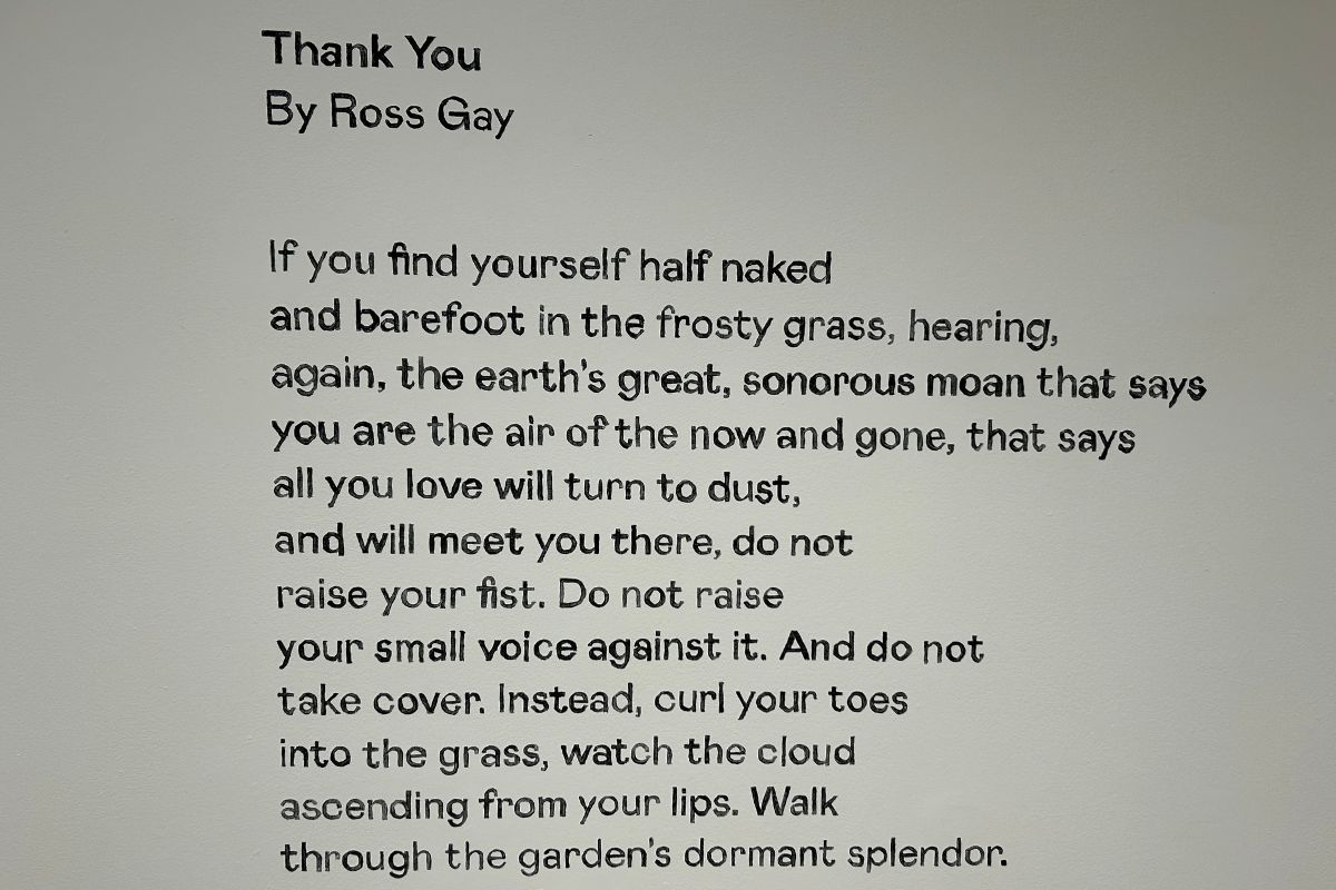 ‘Thank You’ by Ross Gay, the poem from which ‘The Air of the Now and Gone’ exhibition gets its name, is painted on the wall in charcoal at Carleton University Art Gallery. 