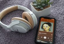 Review: ‘SAYA’ is an eccentric and comforting voyage through heartache Phone, plants, and headphones