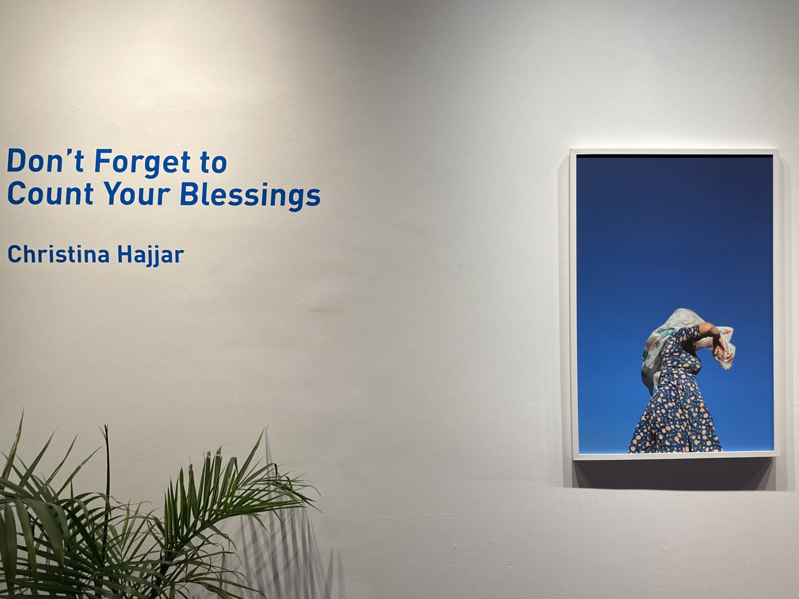 "Don't Forget to Count Your Blessings" is written in blue font on a white wall, next to a mounted photo of a woman with a tablecloth against a blue sky background.