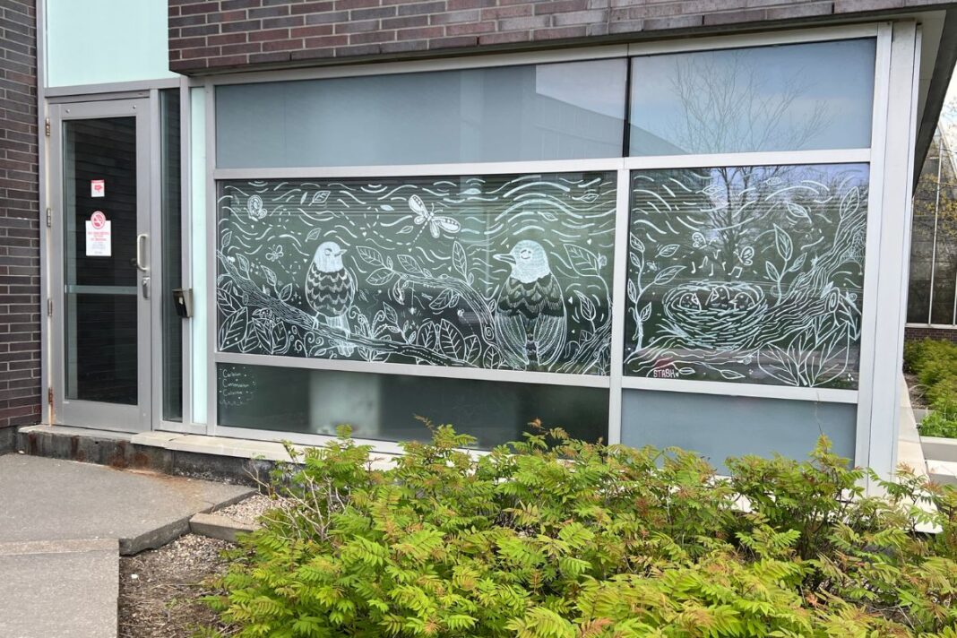 A window with white stencil-like drawings of birds, trees and nature.