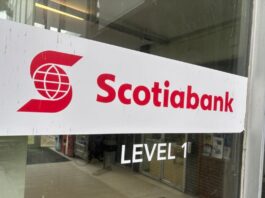 A white sign with a globe symbol in the middle of the letter "S" and the word "Scotiabank" printed in red is hung up on a glass window.
