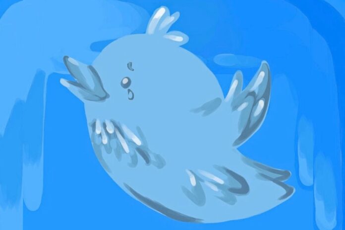 oTwitter A light blue bird that's crying floats in front of a blue background.