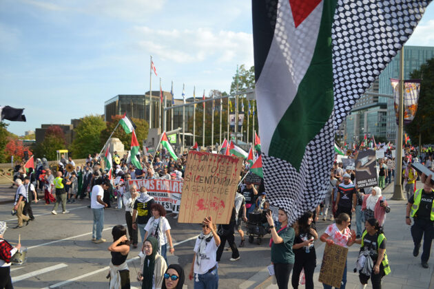a crowd of people on a street with flags and signs