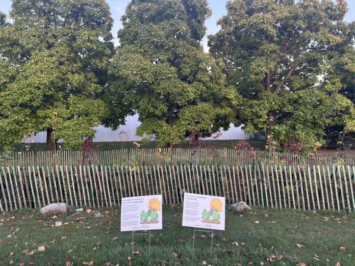 two signs sit in front of trees that are newly planted in a tiny forest.