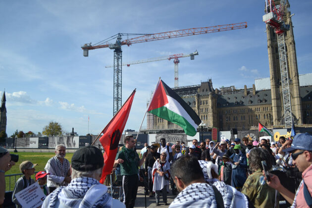 a crowd holding palestinian flags gathers around a person speaking