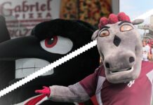 Satire: Rodney the Raven and Gee-Gee spotted kissing on yacht. Here’s why the rivals are a match made in heaven Carleton Raven and UOttawa GeeGee