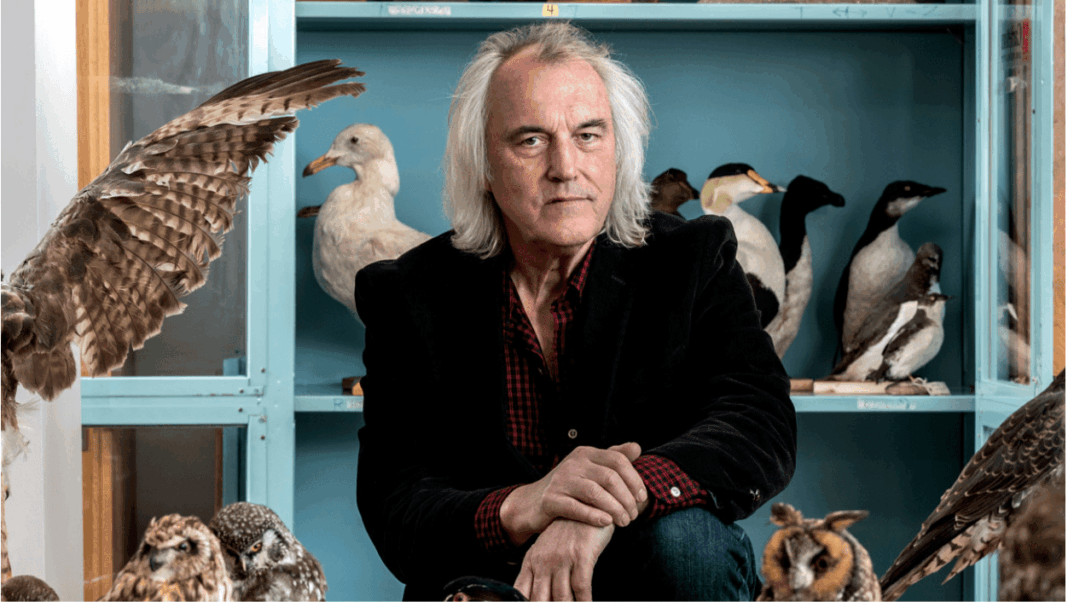 Natural history professor Michael Runtz stands among bird specimens.