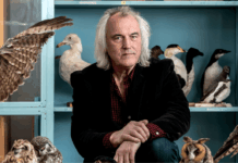 Michael Runtz, the man obsessed with nature Natural history professor Michael Runtz stands among bird specimens.