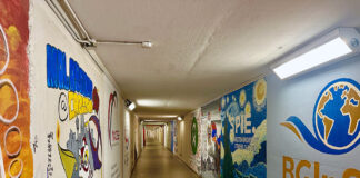 The colourful stories and legacies of Carleton’s tunnel art A hallway sprawls, its walls are painted with many colourful murals