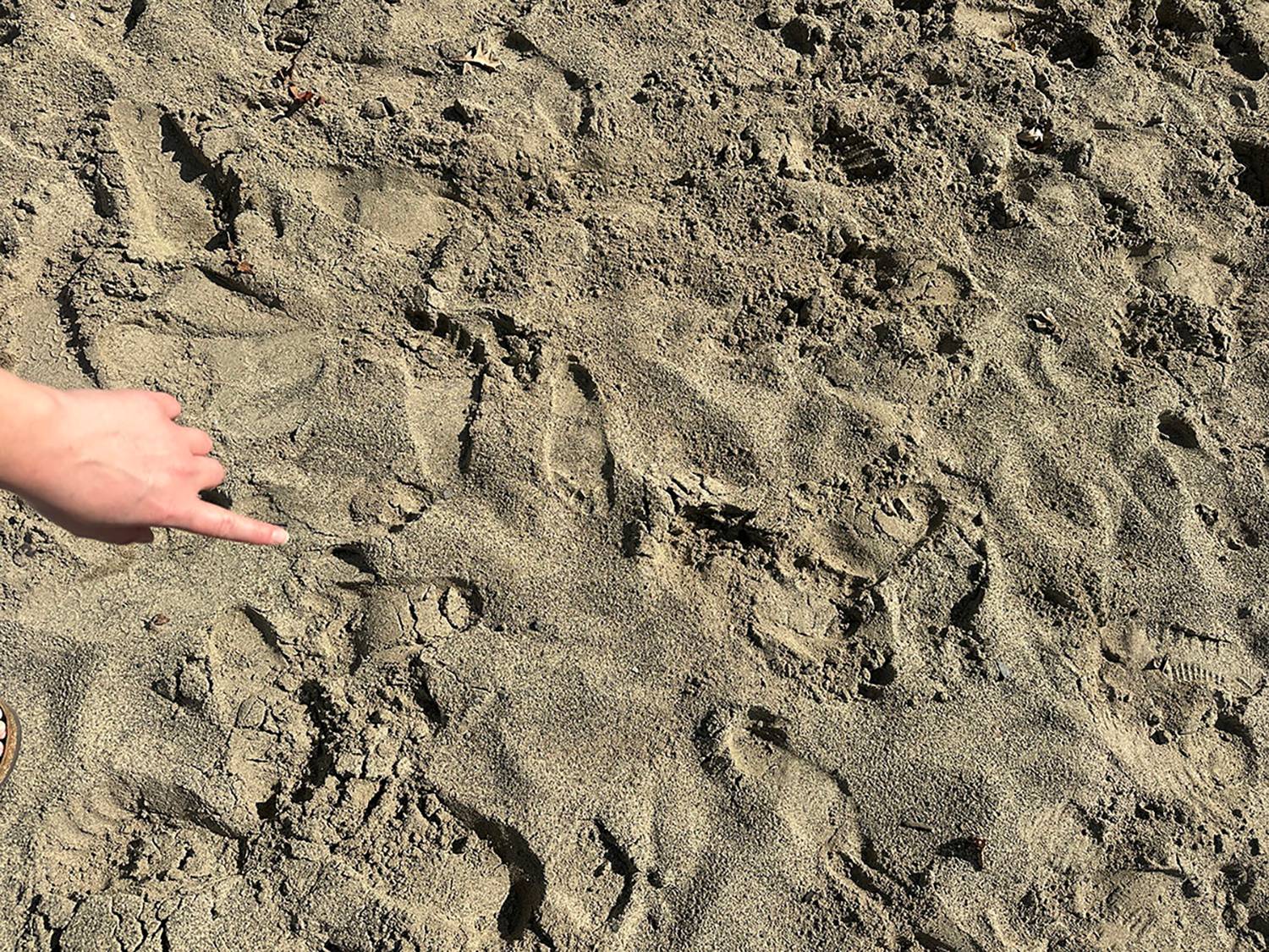 Sand and fingers pointing from the side.