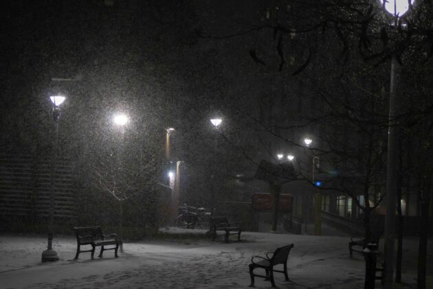 Bright lamps shine during a snowstorm.