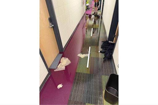 A hallway with water on the colourful carpeted floor. 